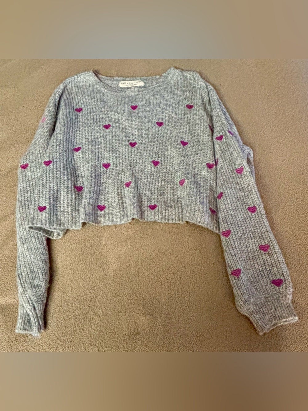 Saltwater Luxe Gray Cropped Crewneck Sweater with Pink Heart Accents